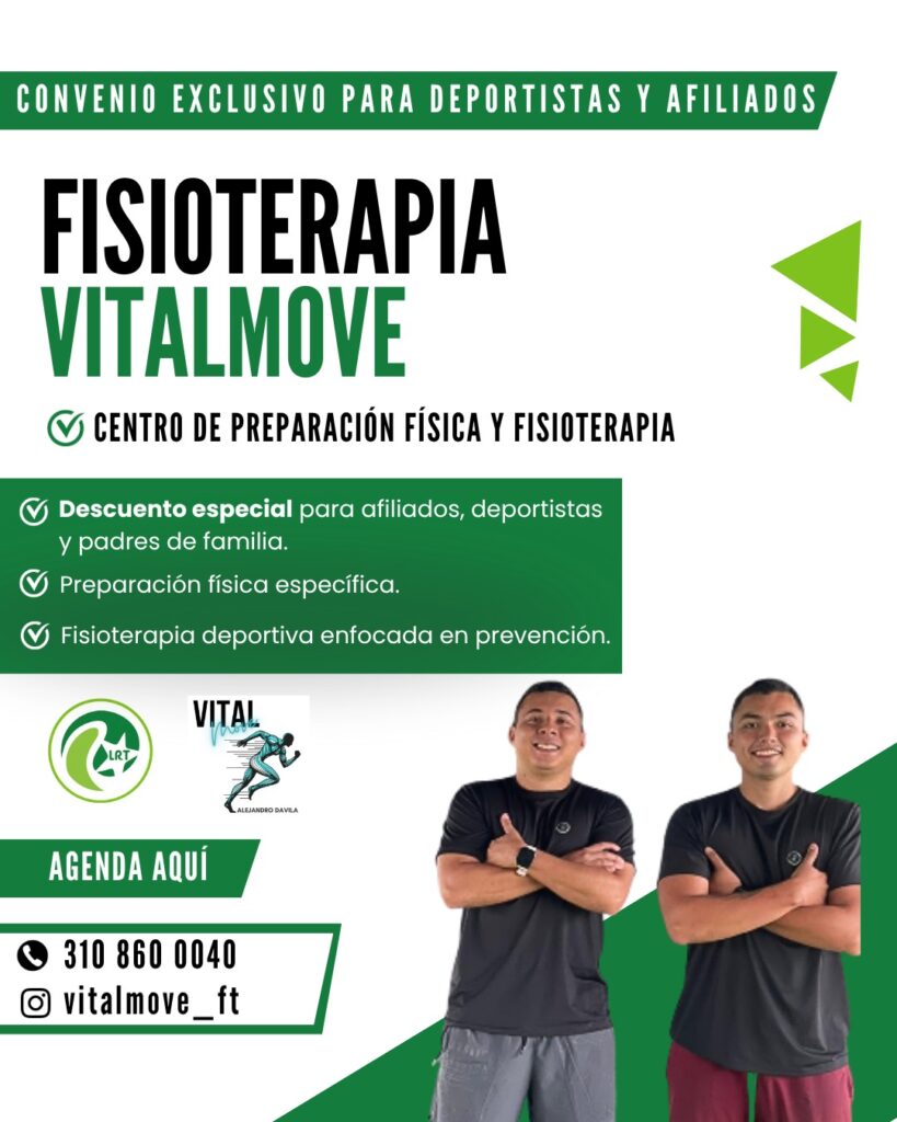 FISIOTERAPIA VITALMOVE